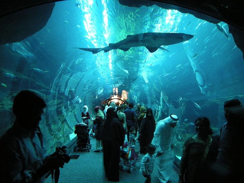 dubai aquarium tunnel