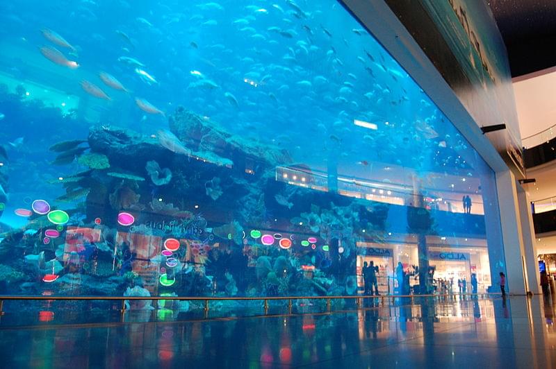 dubai aquarium vasca