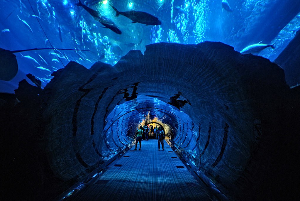 dubai aquarium