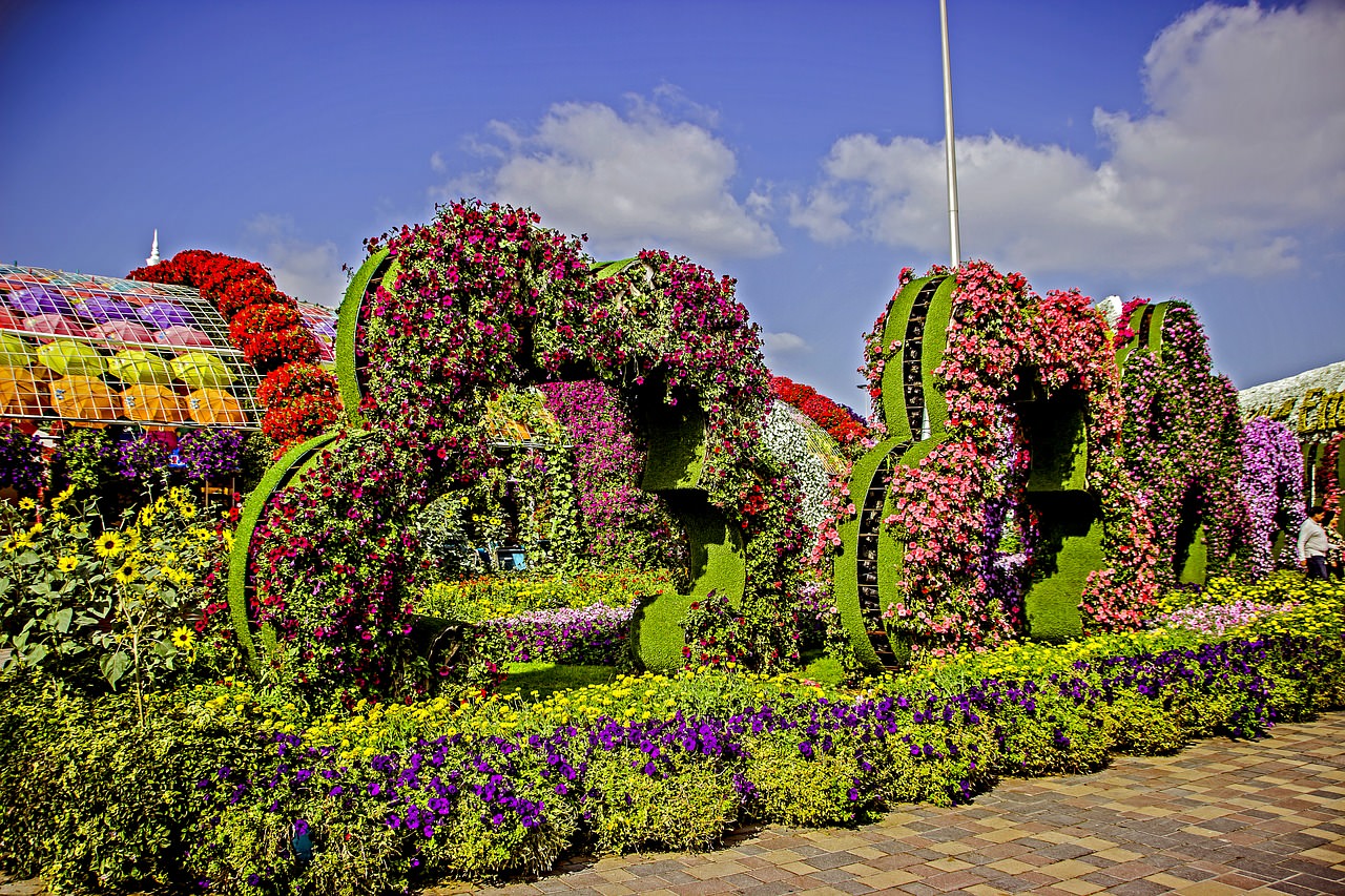 07 dubai miracle garden