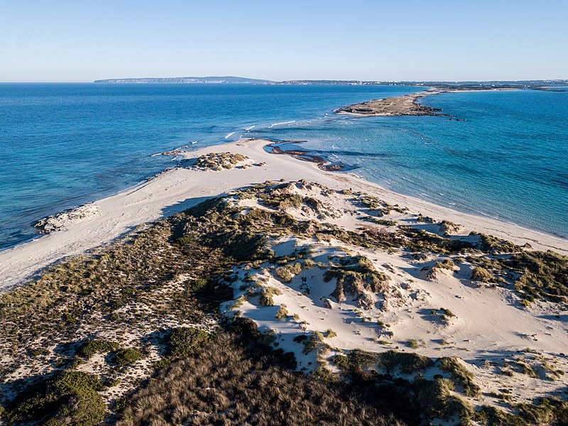 dunas de espalmador formentera