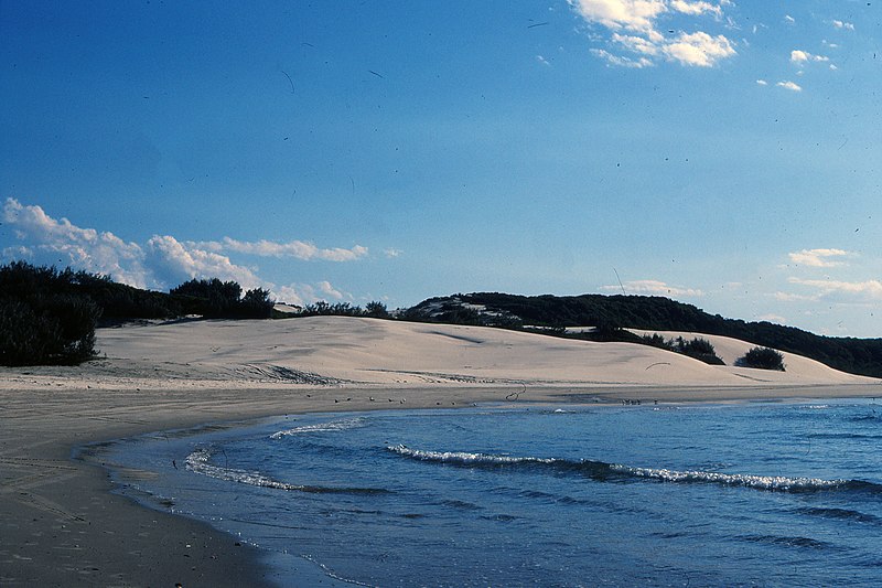 dune on sandy cape fraser island