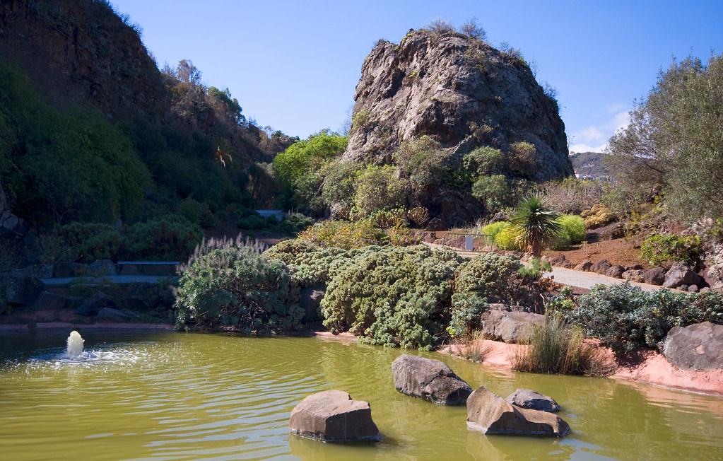 el jardin botanico viera y clavijo jardin canario en las palmas de gran canaria