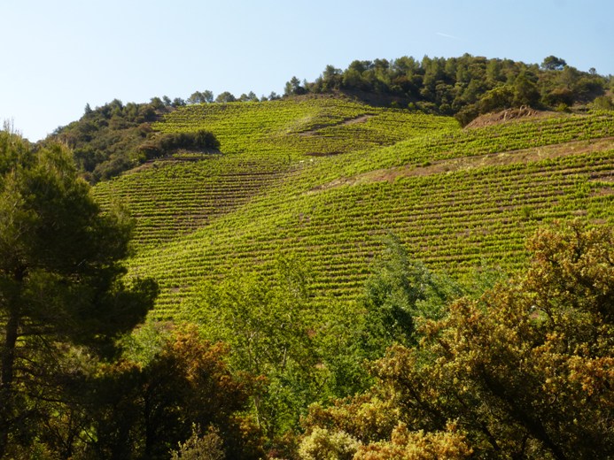el priorat 2