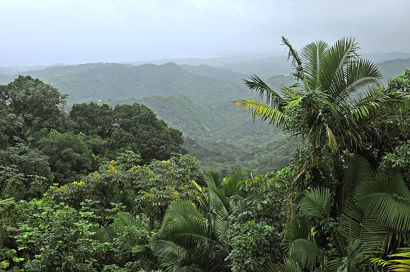 el yunque n f 07