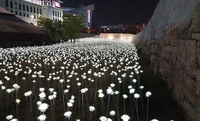 electronic flowers at dongdaemun design plaza 1