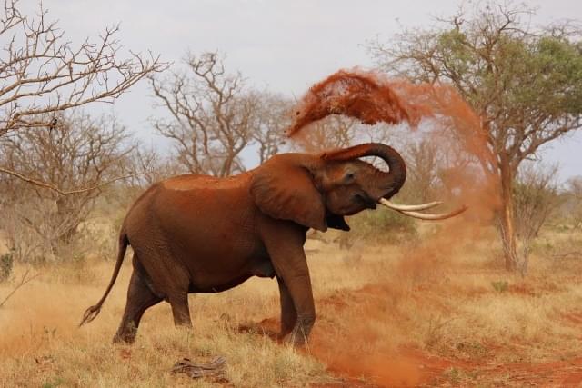 kamuku national park