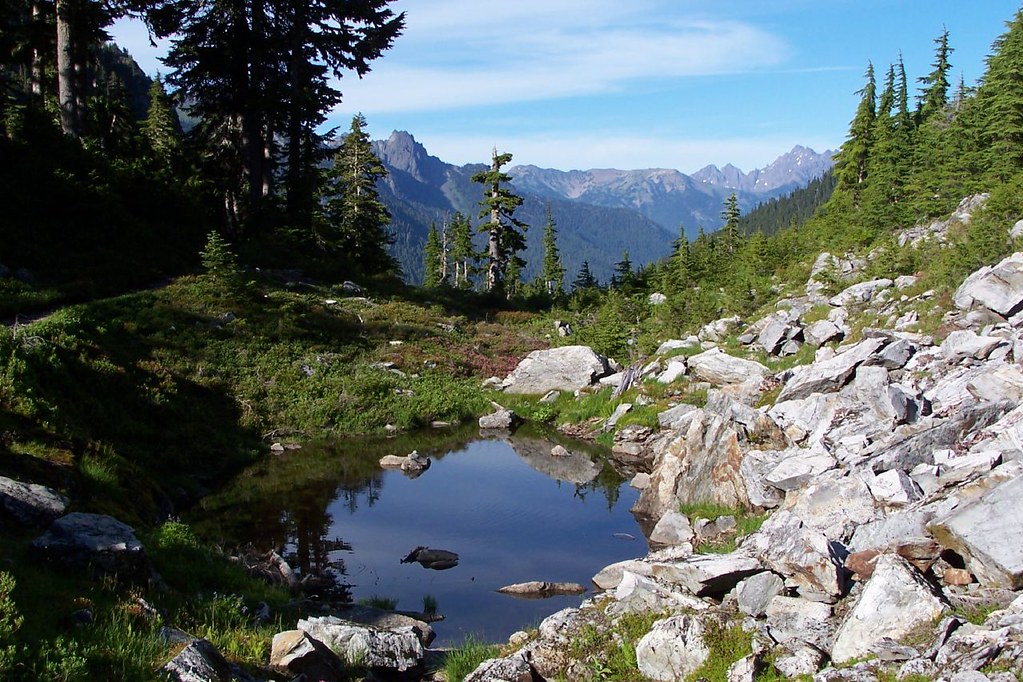 enchanted valley olympic national park