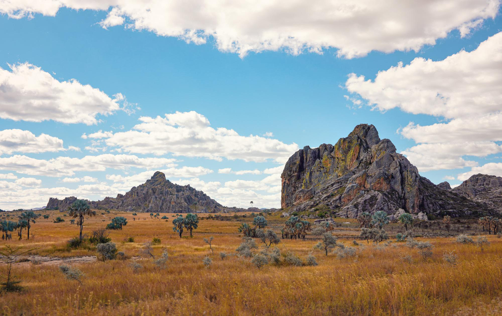 erba bassa che cresce sulla savana africana piccole montagne rocciose sullo sfondo scenario tipico al parco nazionale di isalo madagascar