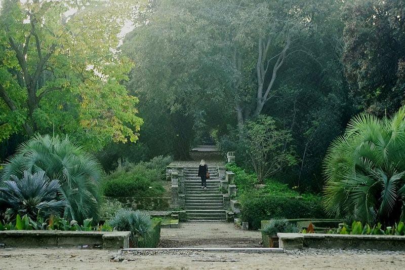 escalier dans le jardin des plantes de montpellier