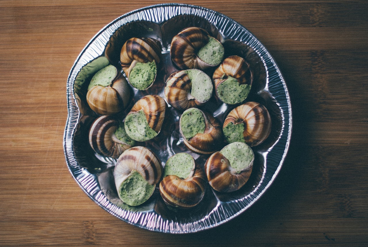 escargot lumache cibo spuntino