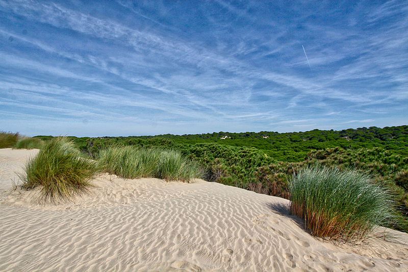 espacio natural de donana