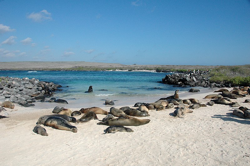 espanola island galapagos