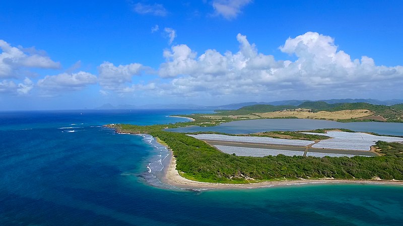 etang des salines martinique 1