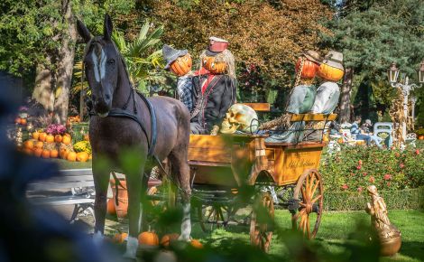 europa park halloween deko