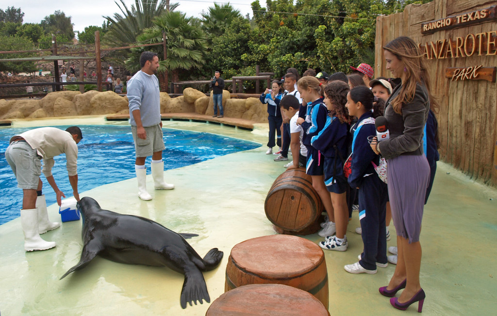Rancho Texas park tematico con animali e spettacoli a Lanzarote