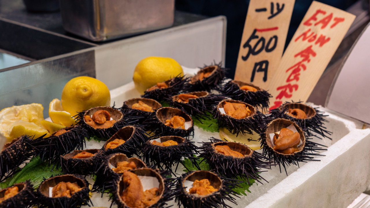 famous golden egg urchin open ready eat ice kyoto fish market fresh uni seafood from pacific ocean is popular dish japan best traditional japanese food street