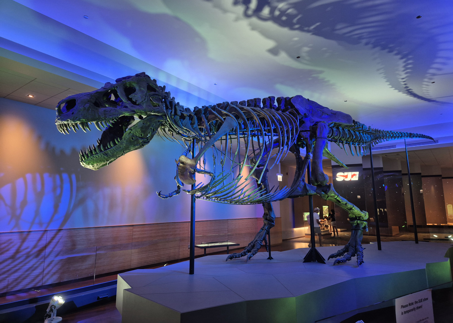 field museum of natural history 3