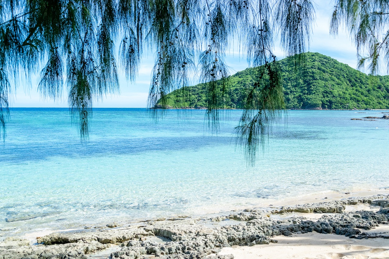 figi fiji island isola tropicale