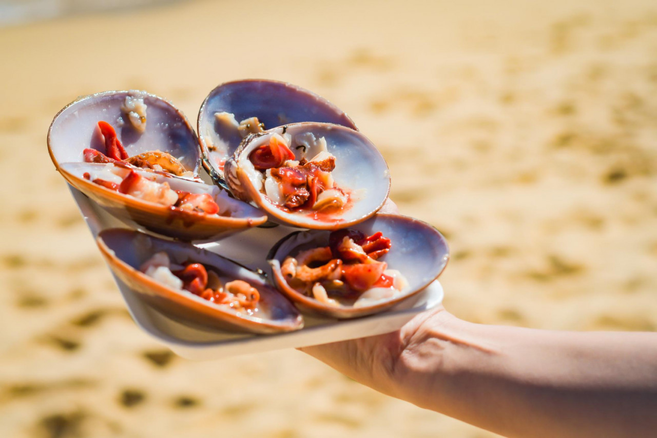 fine shells from malaga prepared by hand sea sand background