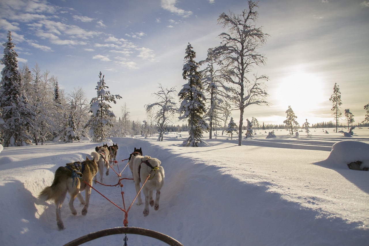 finnland lappland winterlandschaft