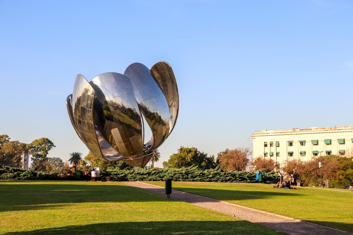 floralis generica argentina