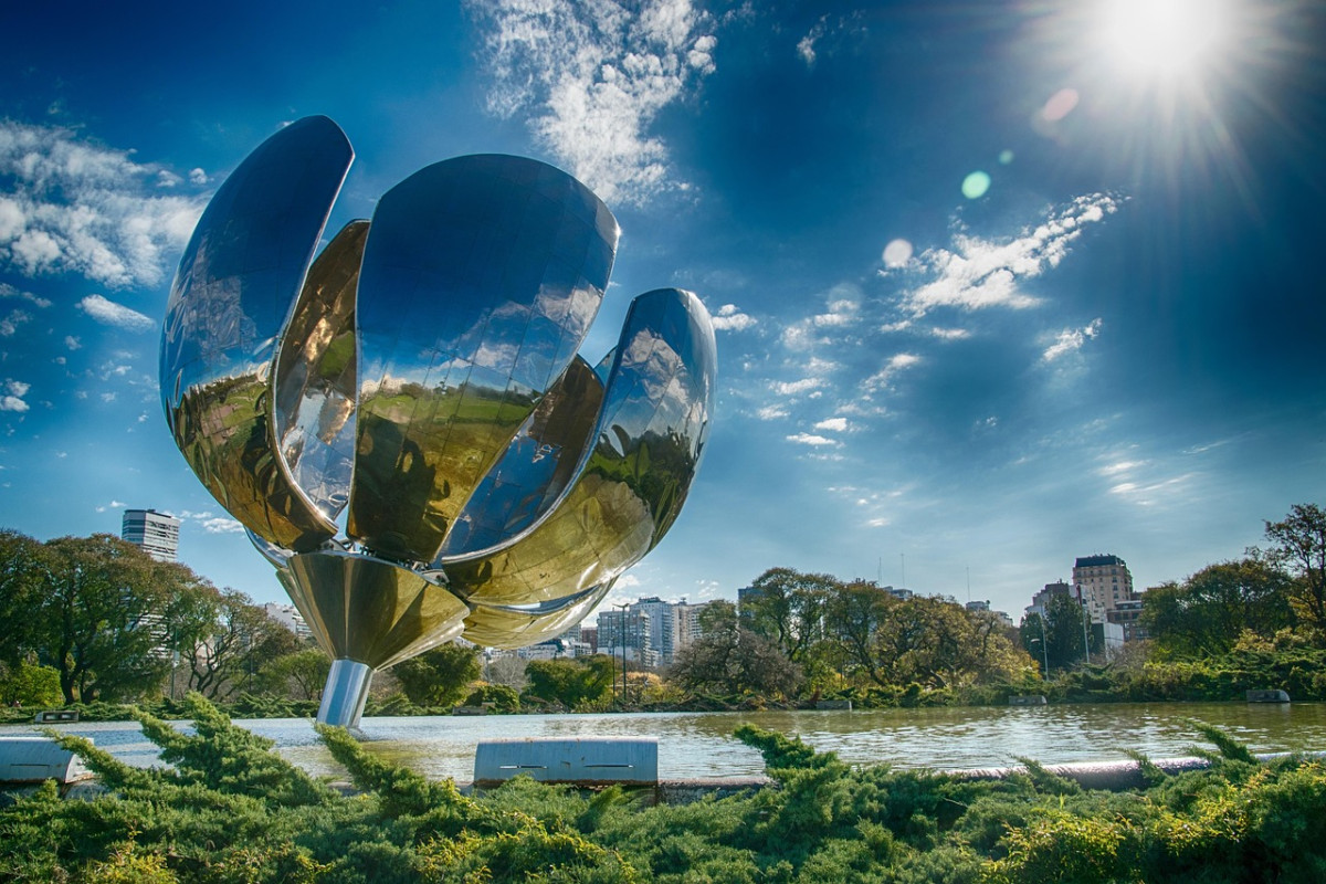 floralis generica buenos aires