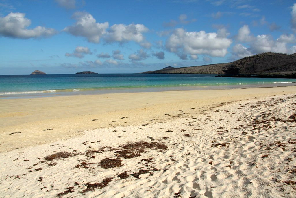 floreana island