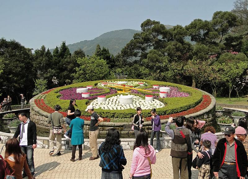 flower clock yangmingshan