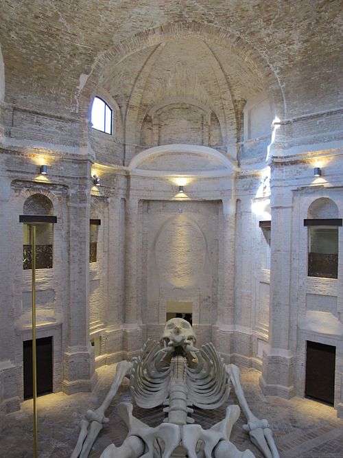 foligno ss annunziata 02