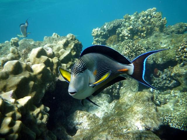 fondali di marsa alam egitto