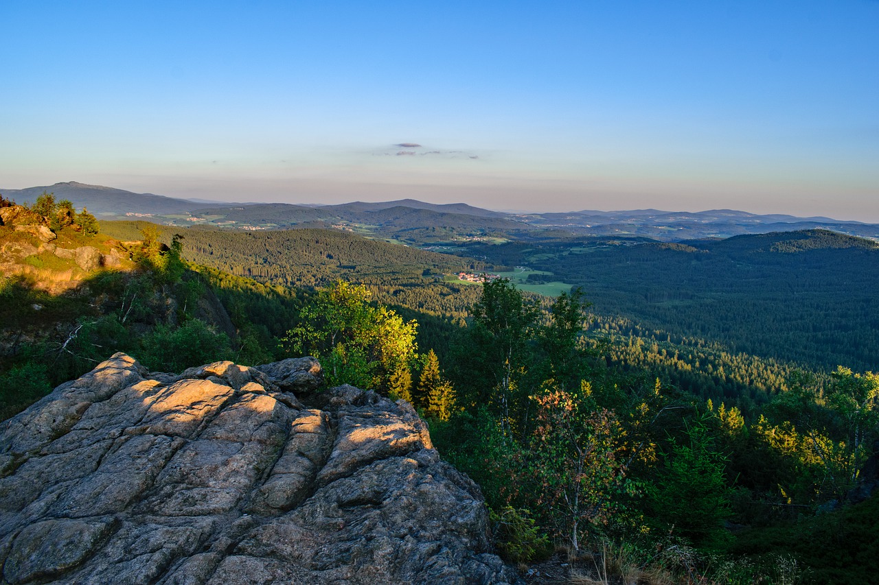 foresta bavarese natura forest 1