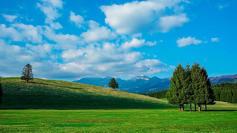 foresta del cansiglio