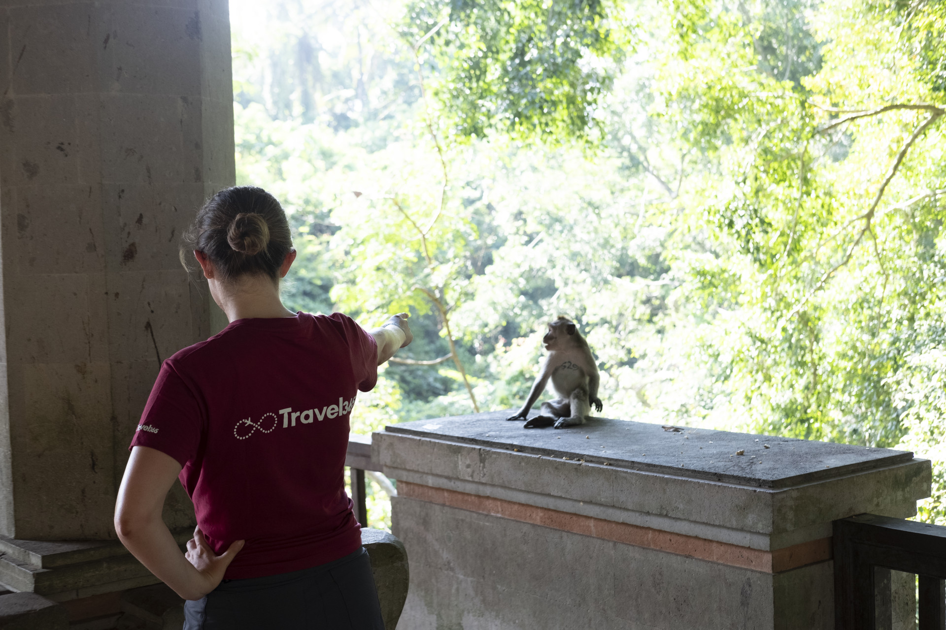 foresta delle scimmie ubud orizzontale 2