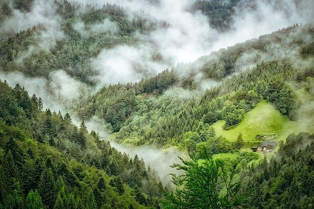 foresta nera germania