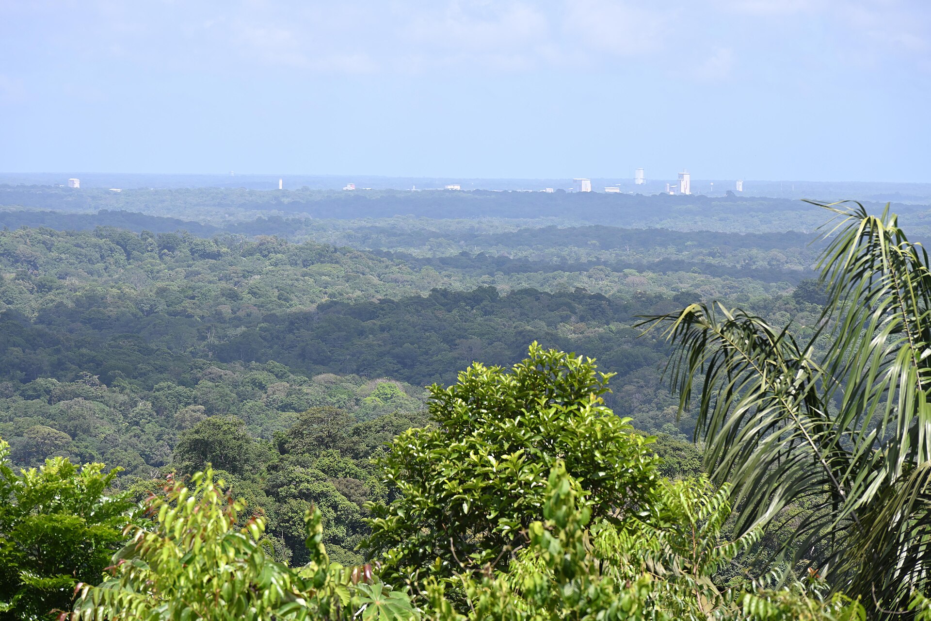 foretguyanaiseauxabordsdekourou guyane ifremer00807 91904 53041
