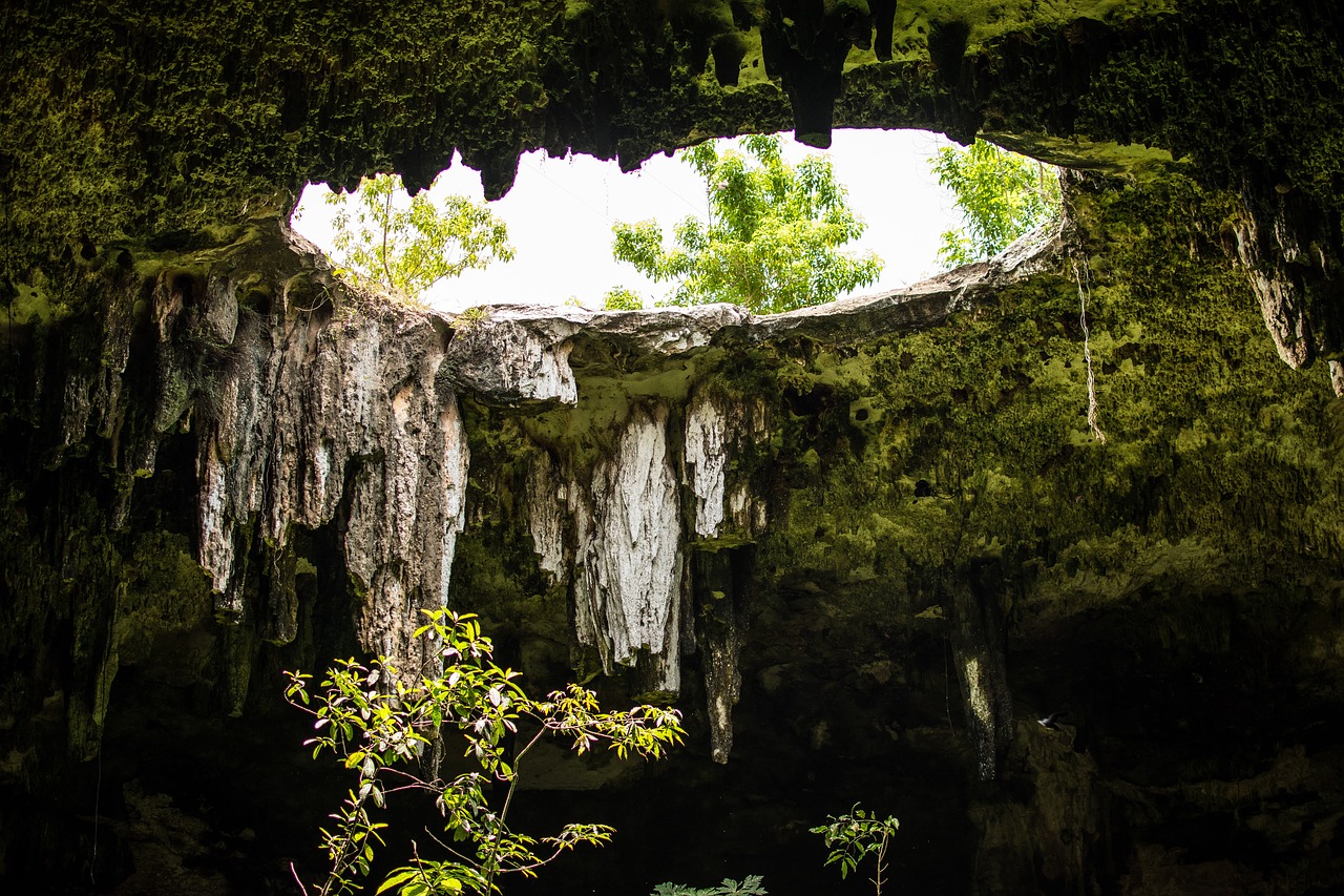 Grotte dello Yucatan, Cenotes