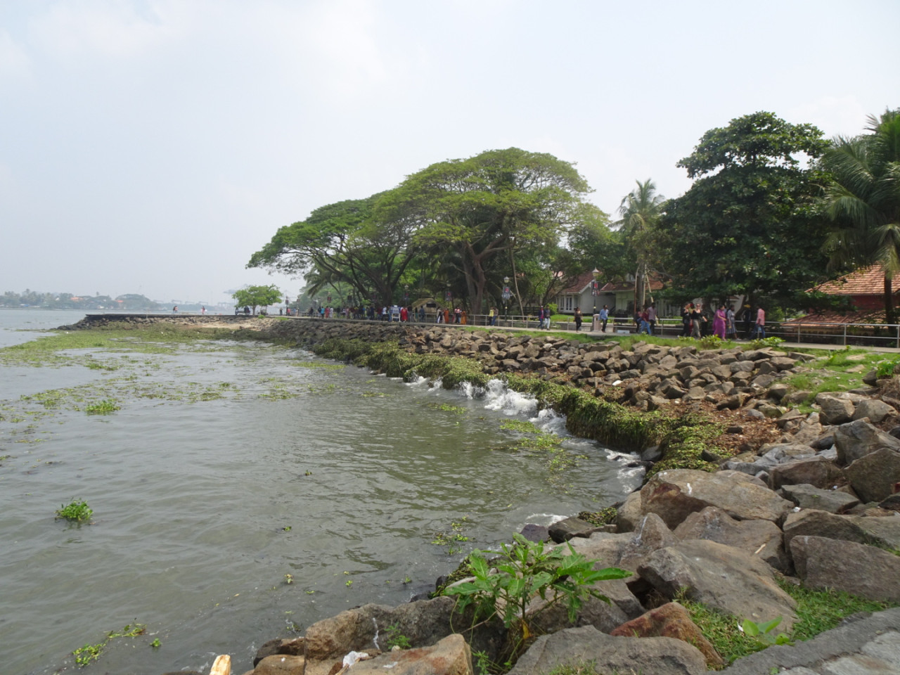 fort kochi 4