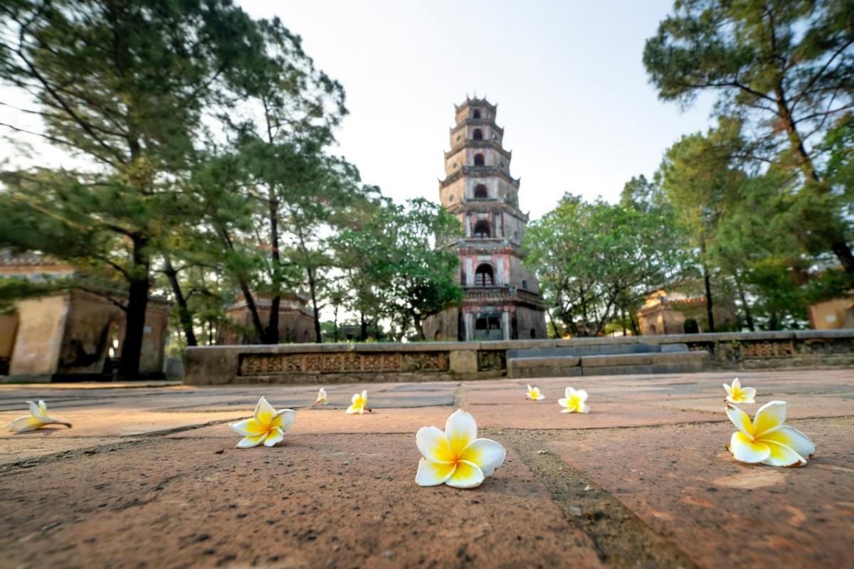 fresh flowers scattered near old buddhist temple in park 1