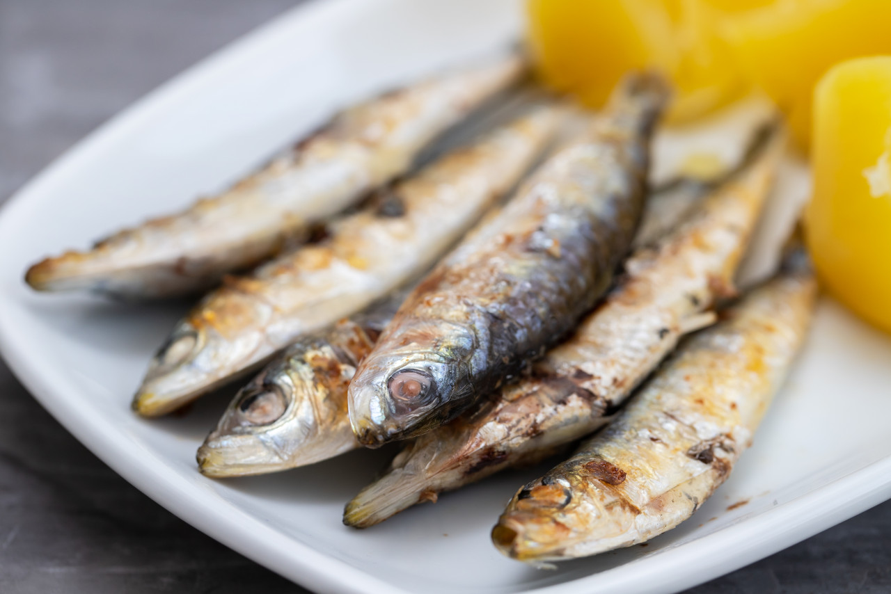 fried sardines with boiled potato white dish