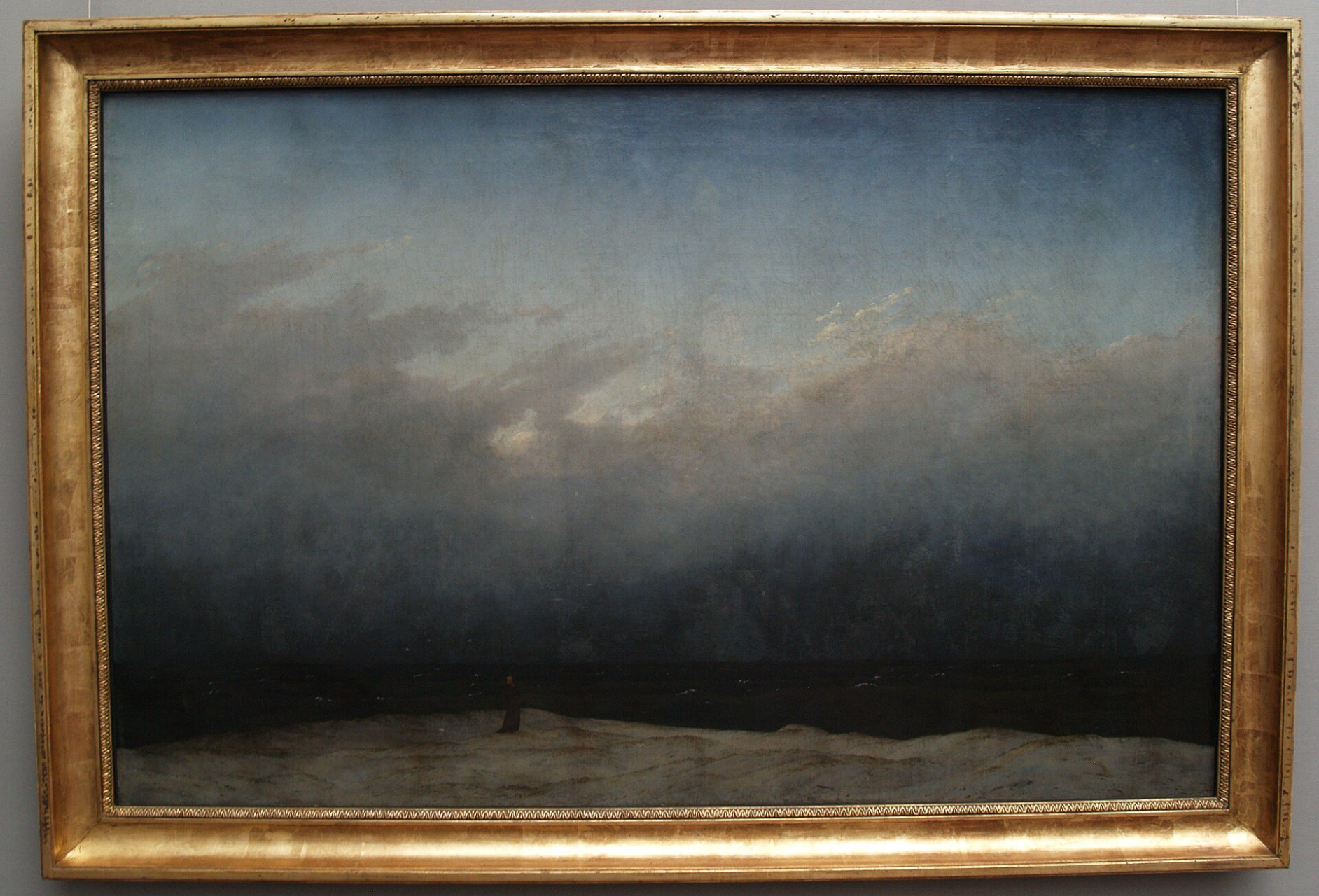 friedrichmonjealaorilladelmar02