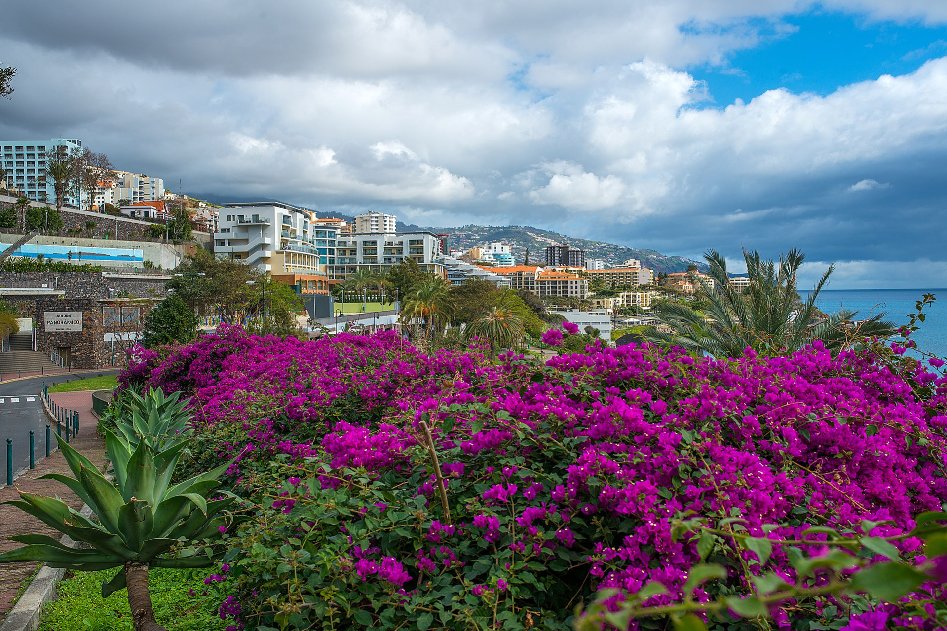 funchal madeira january 2014 panoramio 20