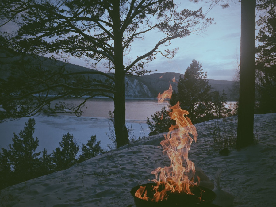 Fuoco in mezzo al bosco