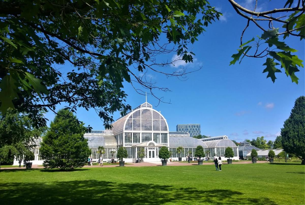 ga teborg la palm house 1