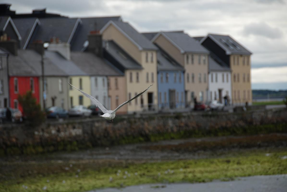 galway long walk