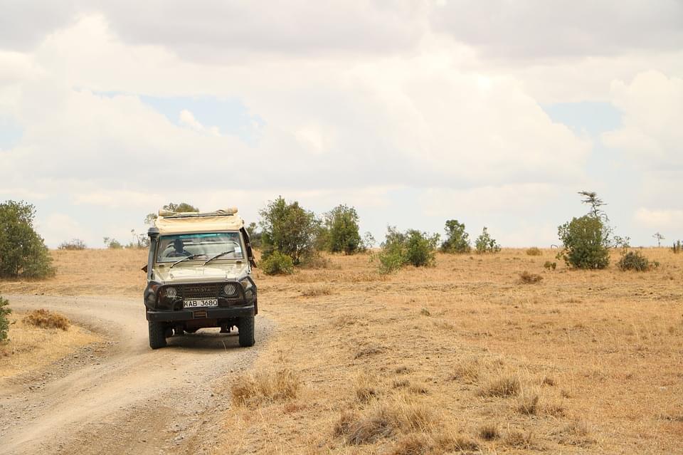 game drive safari in kenya