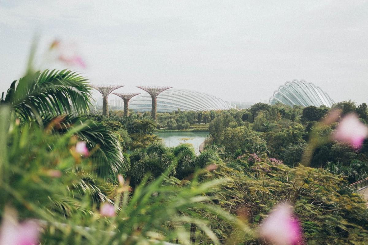 gardens by the bay singapore giardini