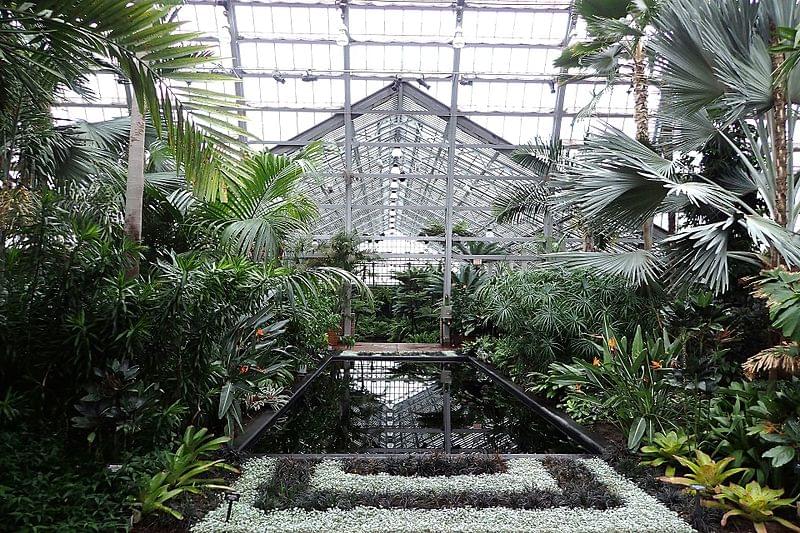 garfield park conservatory chicago