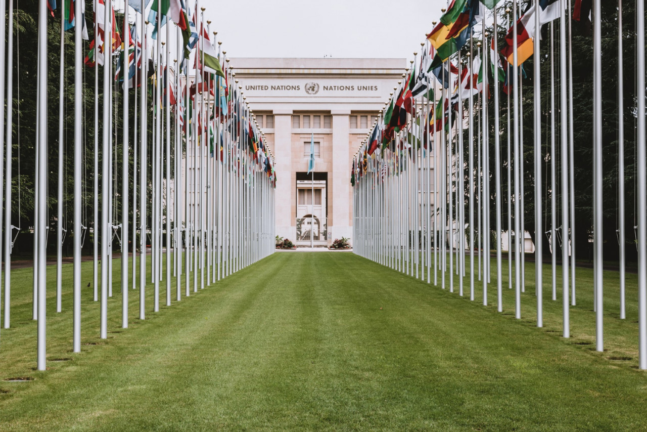 geneva switzerland july 1 2017 national flags entrance un office geneva switzerland united nations was established geneva 1947 is second largest un office