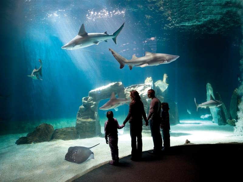 Genova acquario